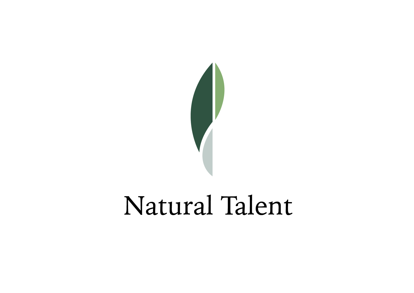 Natural Talent colour logo